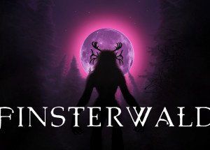 Finsterwald