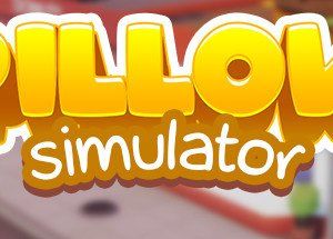 Pillow Simulator