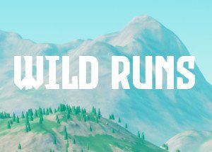 Wild Runs