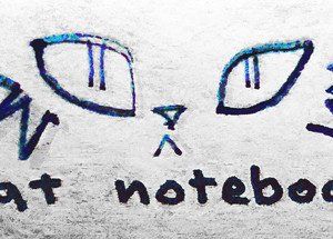 cat notebook
