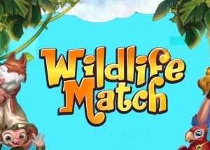 Wildlife Match