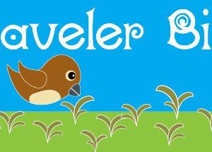 Traveler Bird