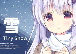 Tiny Snow