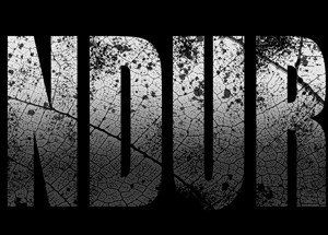 ENDURE