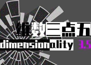 Dimensionality 3.5