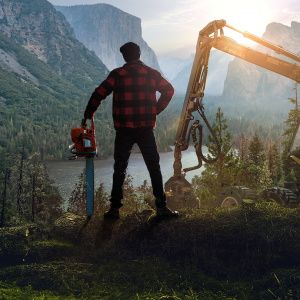 Lumberjack’s Dynasty