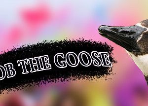 Bob the Goose