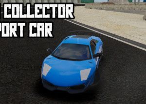 Coins Collector Sport Car