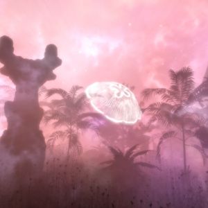 Hidden Treasures in the Forest of Dreams