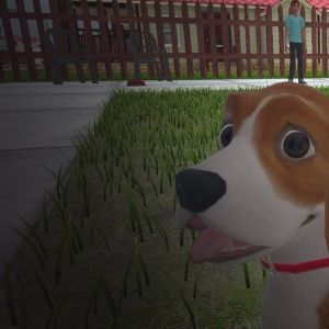 GOOD DOG, BAD DOG