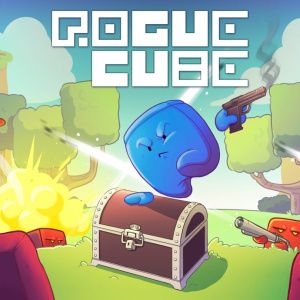 RogueCube