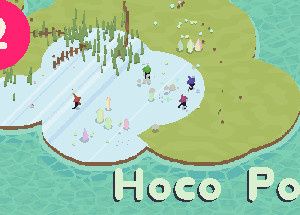 Hoco Poco