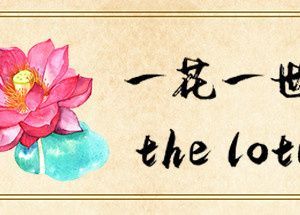 一花一世界 | The Lotus