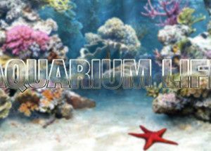 Aquarium Life
