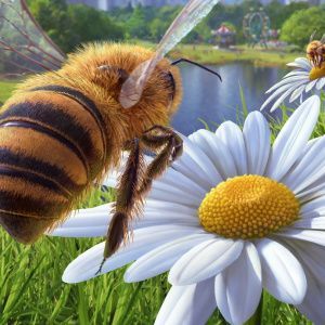 Bee Simulator