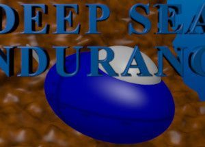 Deep Sea Endurance
