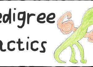 Pedigree Tactics