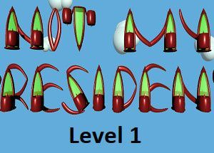 Not My President – Level 1