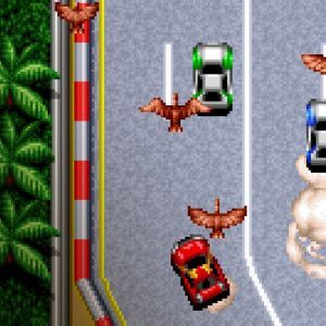 ACA NEOGEO THRASH RALLY