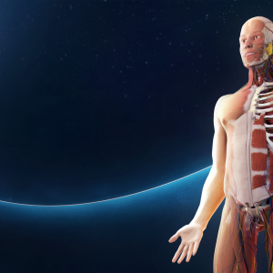 Human Anatomy VR