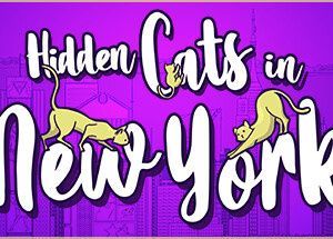 Hidden Cats in New York