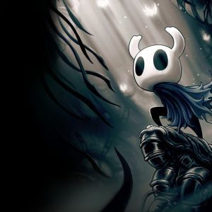 Hollow Knight Voidheart Edition