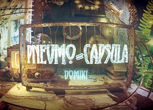 Pnevmo-Capsula: Domiki