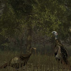 Wild Turkey Hunter
