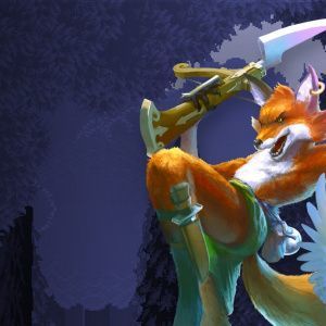 FOX n FORESTS
