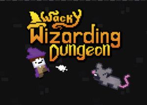 Wacky Wizarding Dungeon