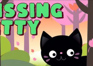 Missing Kitty