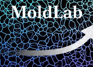 MoldLab