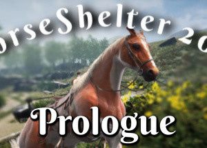 Horse Shelter 2022 – Prologue