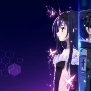 Accel World VS Sword Art Online
