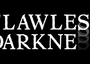 Flawless Darkness
