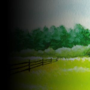 Harvest Moon®: Save the Homeland