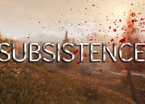 Subsistence
