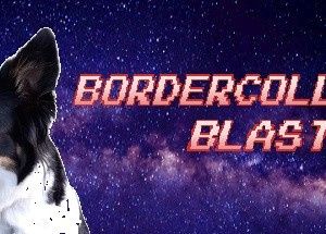 BorderCollie Blaster