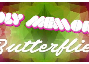 Poly Memory: Butterflies