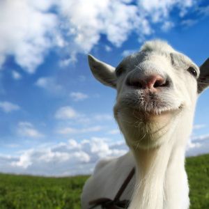 Goat Simulator