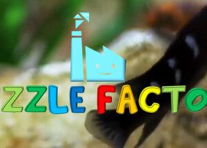 The Puzzle Factory