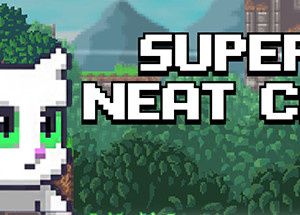 Super Neat Cat