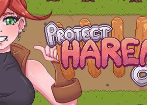 Protect Harem City