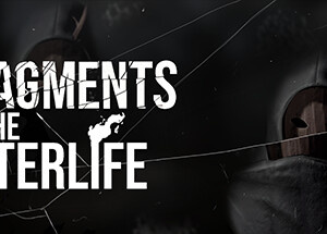 Fragments of the Afterlife