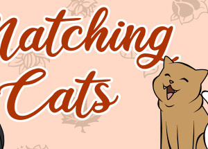 Matching Cats