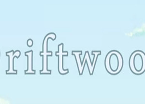 Driftwood The Visual Novel