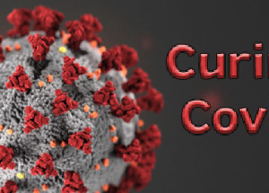 Curing Covid