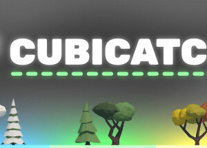 Cubicatch
