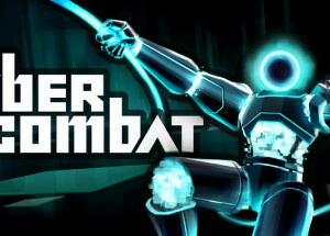 Cyber Combat