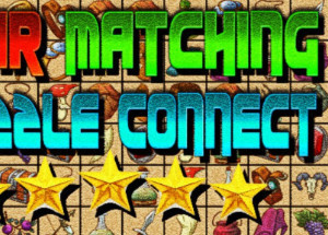 Pair Matching Puzzle Connect